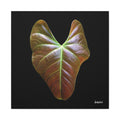 Heart of Earthlight - 24X24