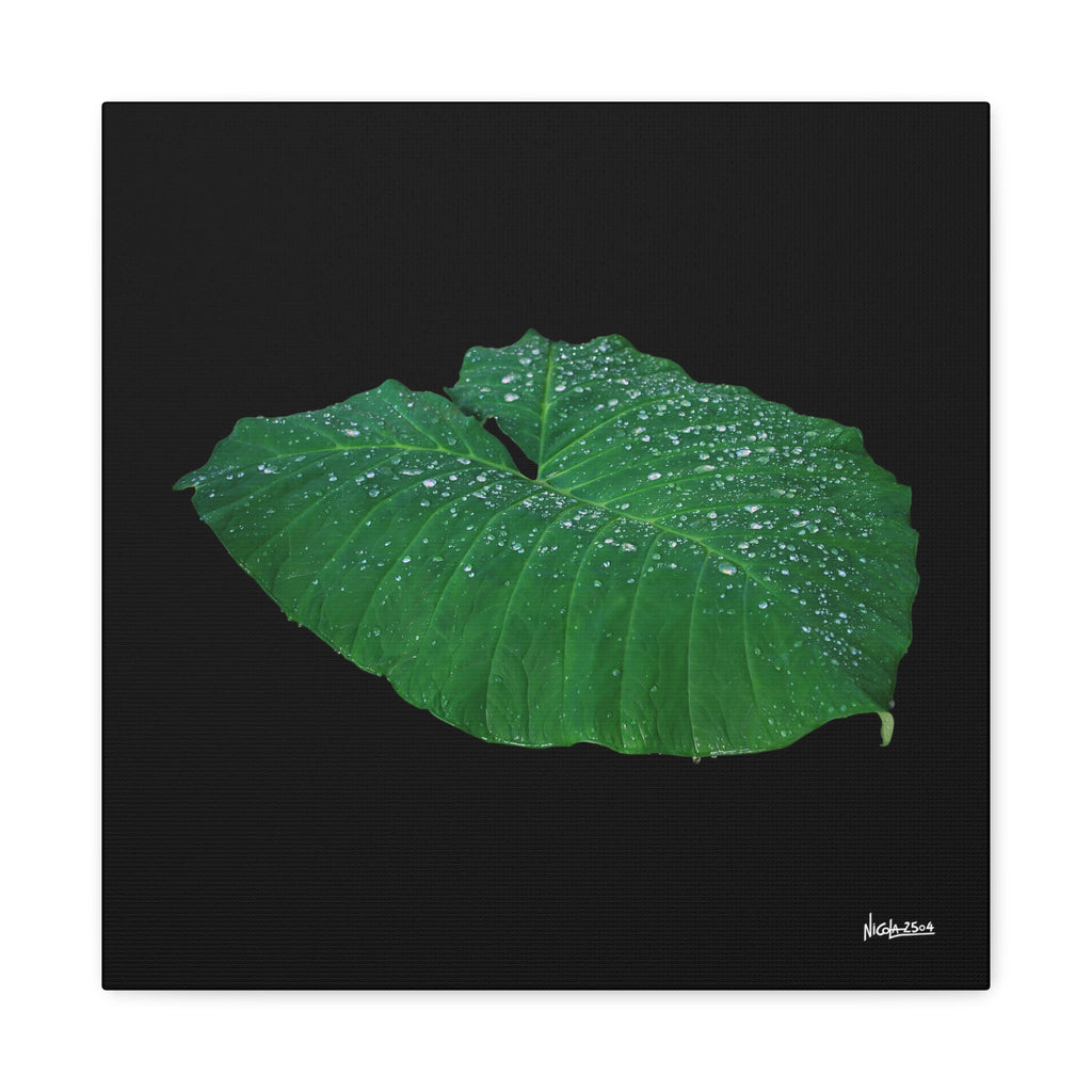 Blessing of the Rain - 16X16
