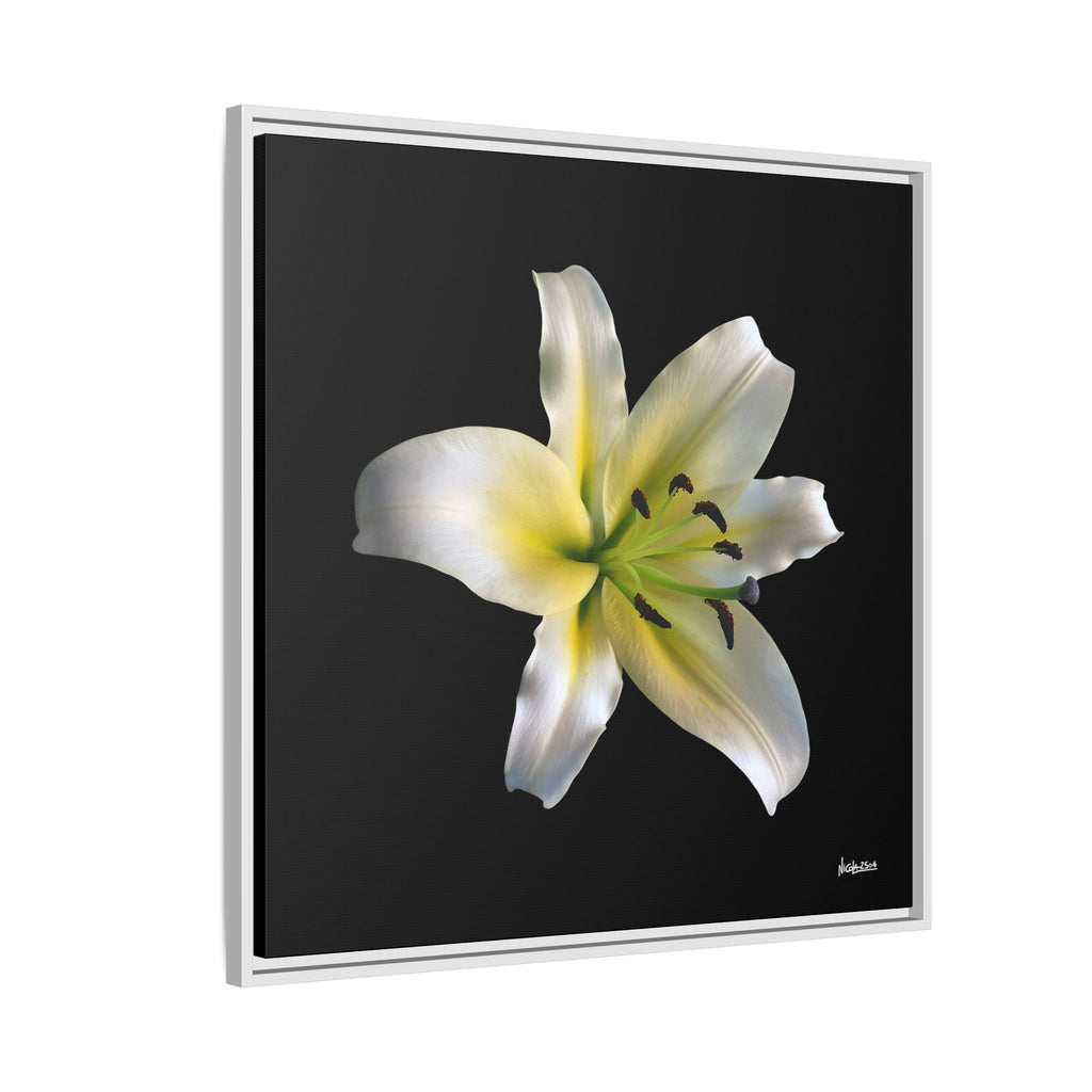 Nature's Paradise Framed - 30X30