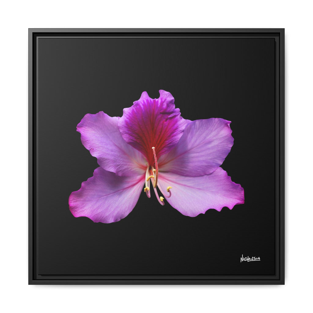 Listening Petals Framed - 24X24