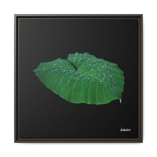 Blessing of the Rain Framed - 24X24