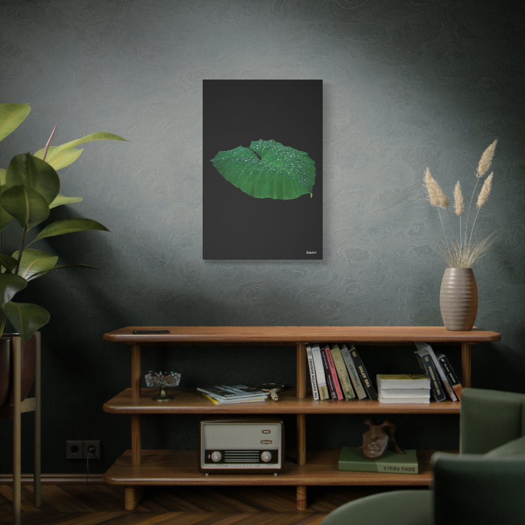 Blessing of the Rain - 24X36