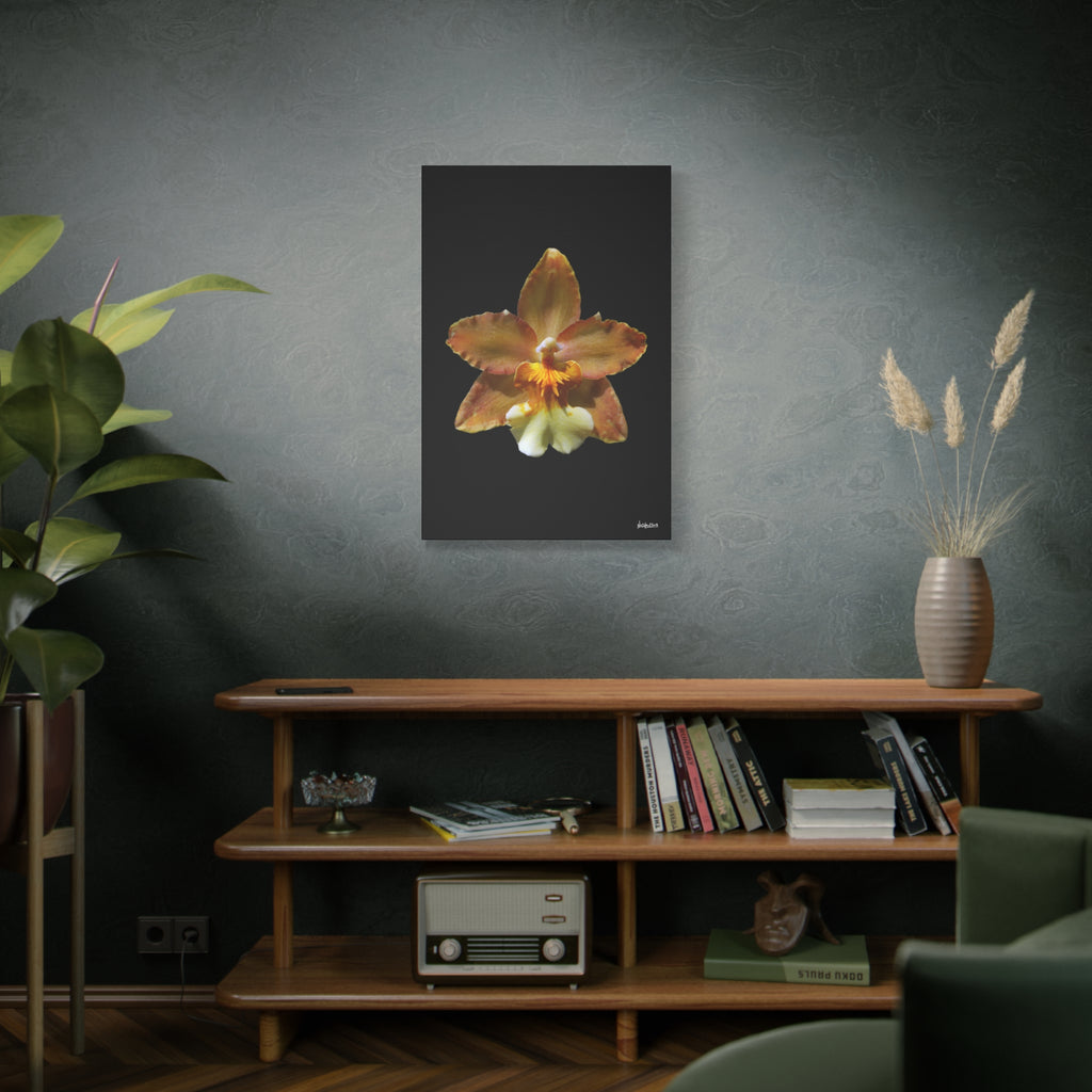 Golden Harmony - 24X36