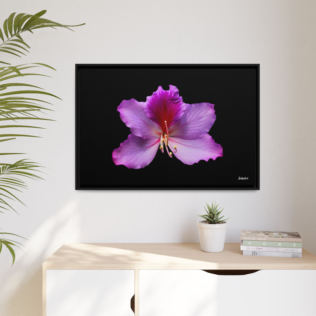 Listening Petals Framed - 36X24