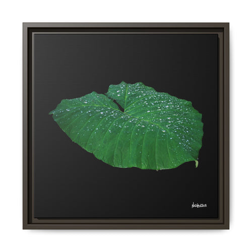 Blessing of the Rain Framed - 16X16
