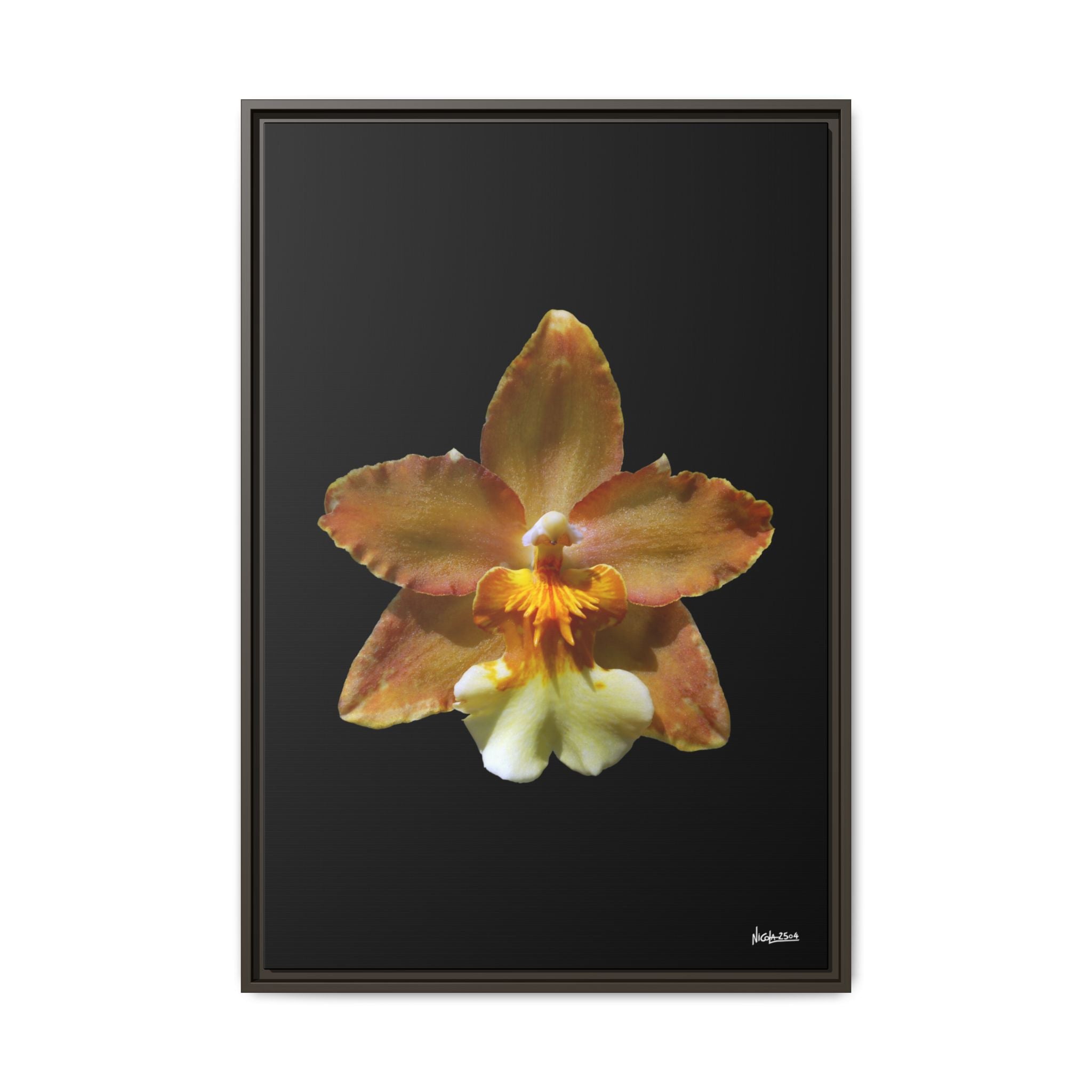 Golden Harmony Framed - 24X36