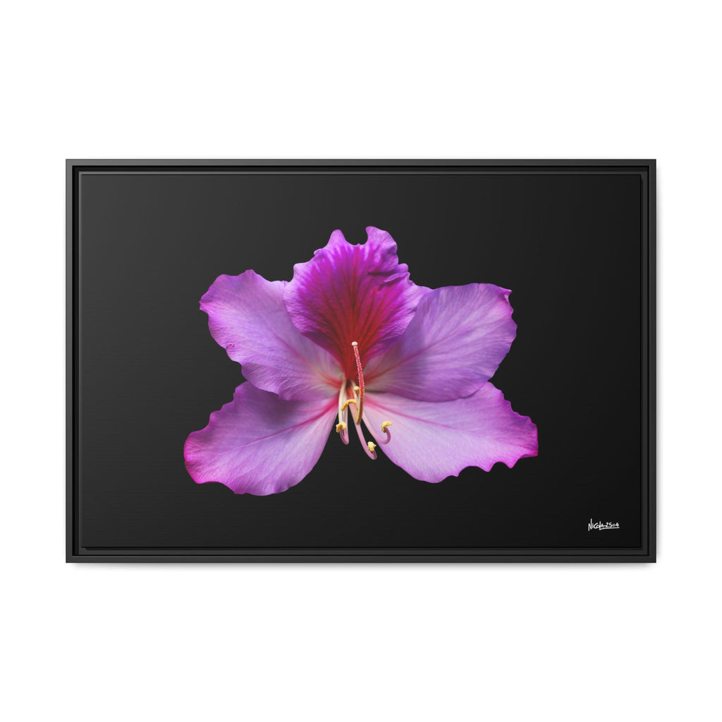 Listening Petals Framed - 36X24