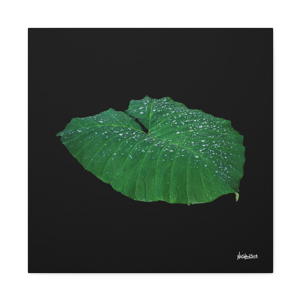 Blessing of the Rain - 24X24