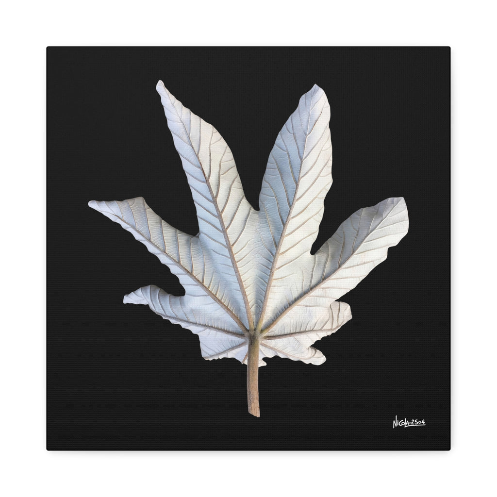 Ivory Solitude - 16X16
