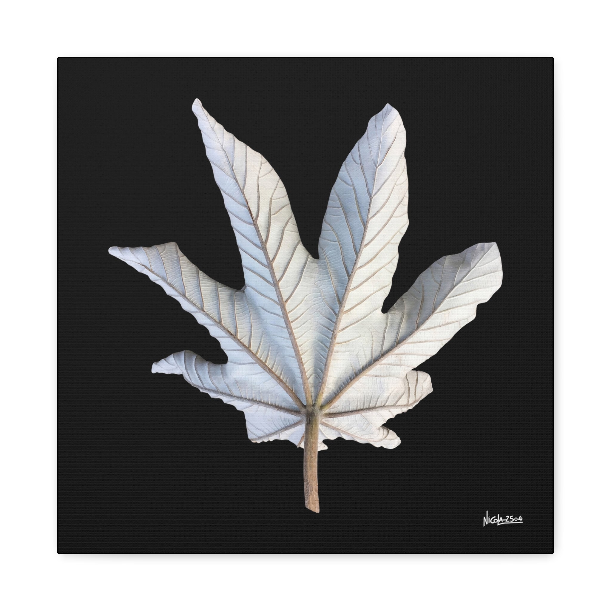 Ivory Solitude - 16X16