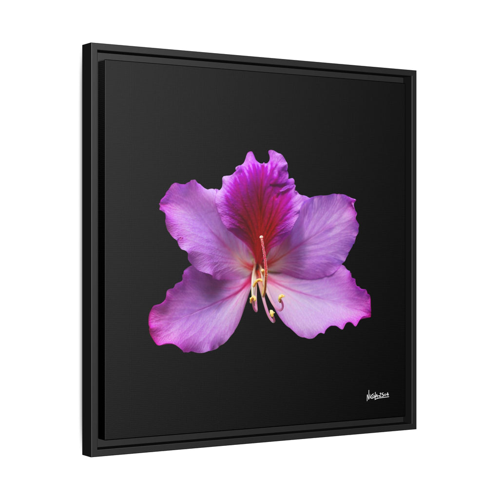Listening Petals Framed - 24X24