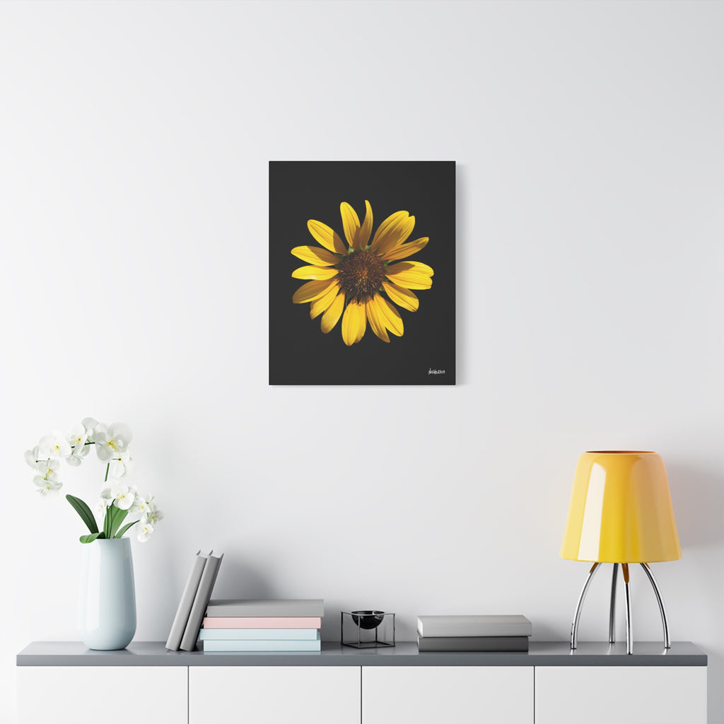 Radiant Inner Sun - 20X24