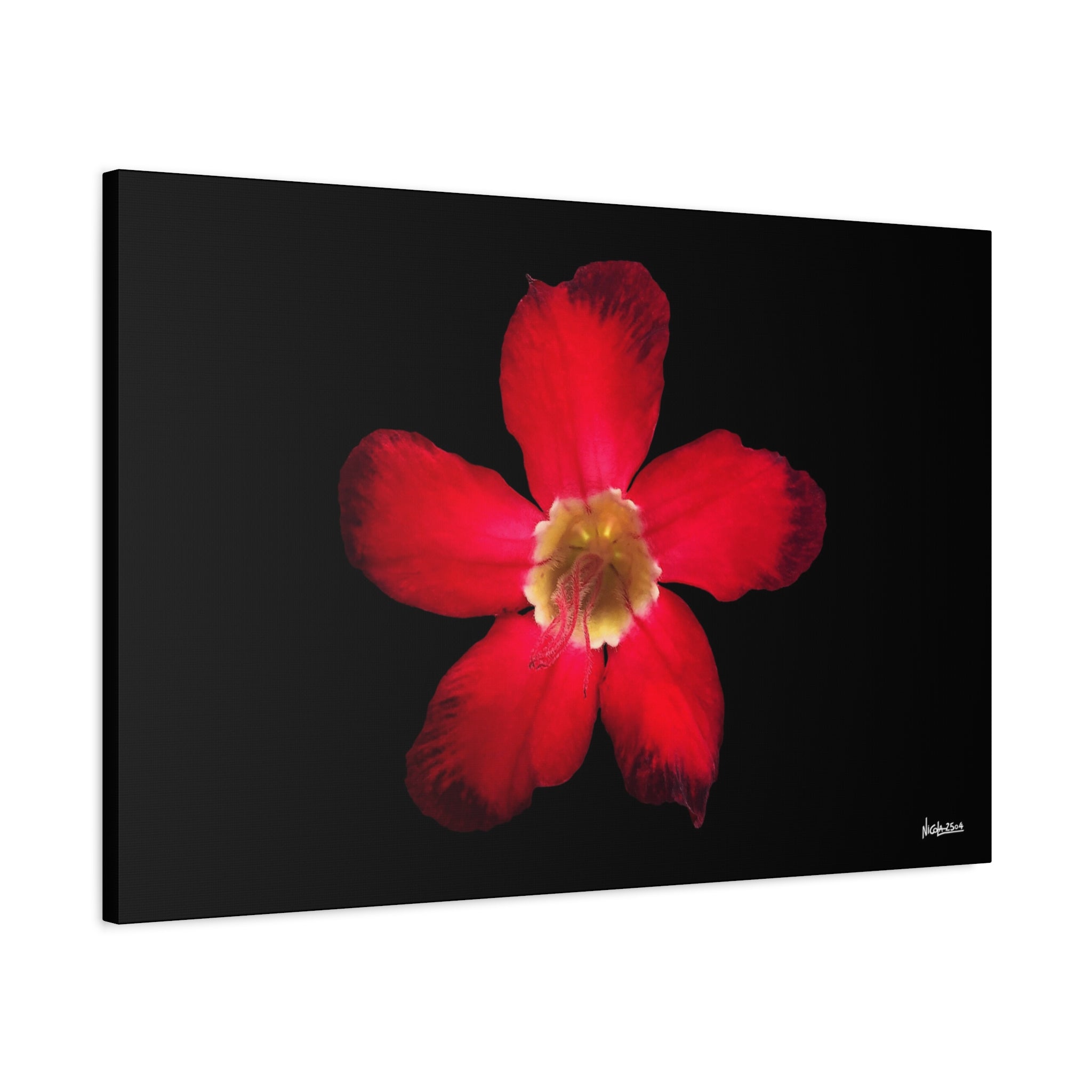 Passion in Bloom - 36X24
