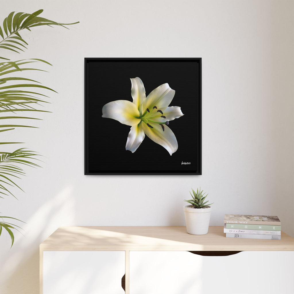 Nature's Paradise Framed - 24X24