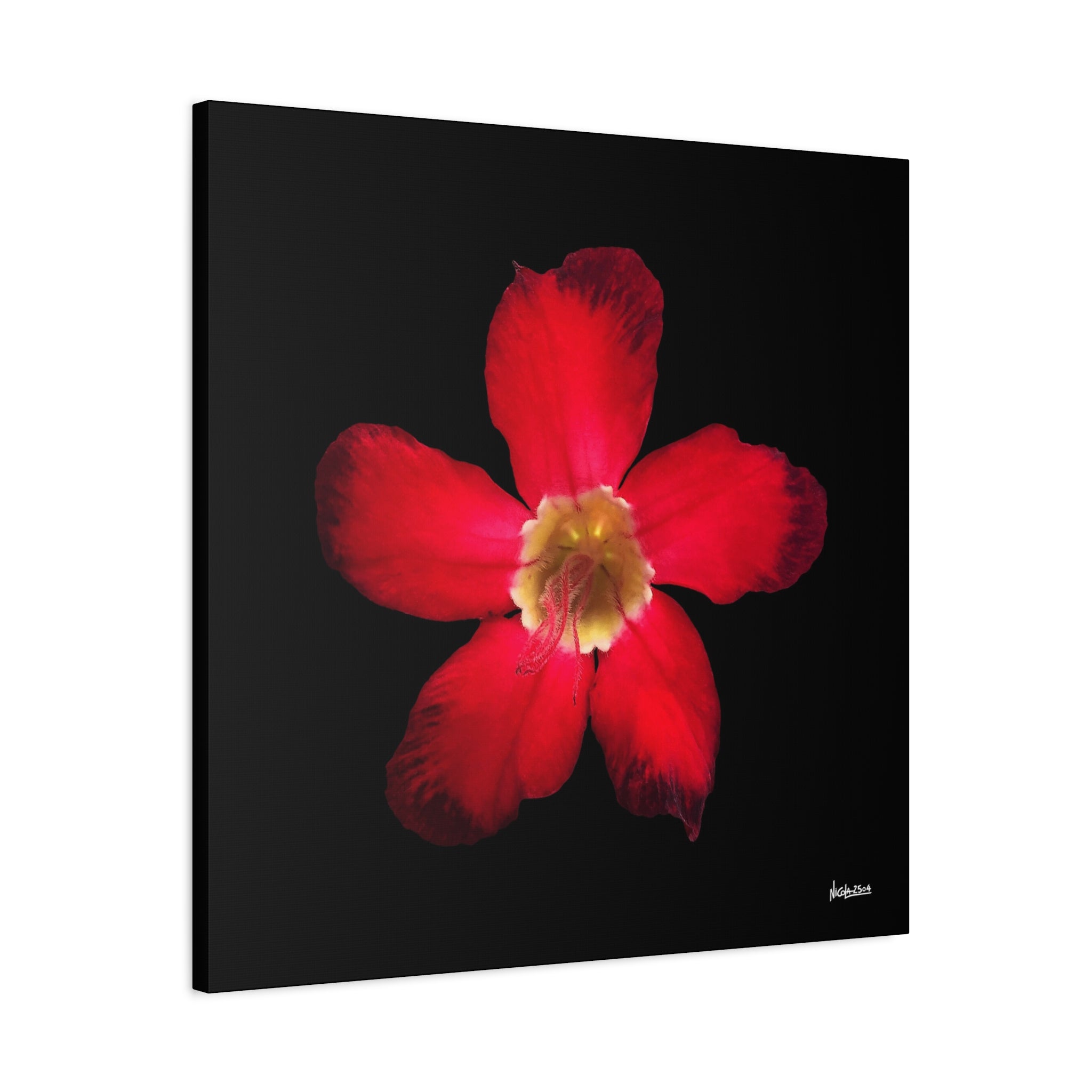 Passion in Bloom - 30X30