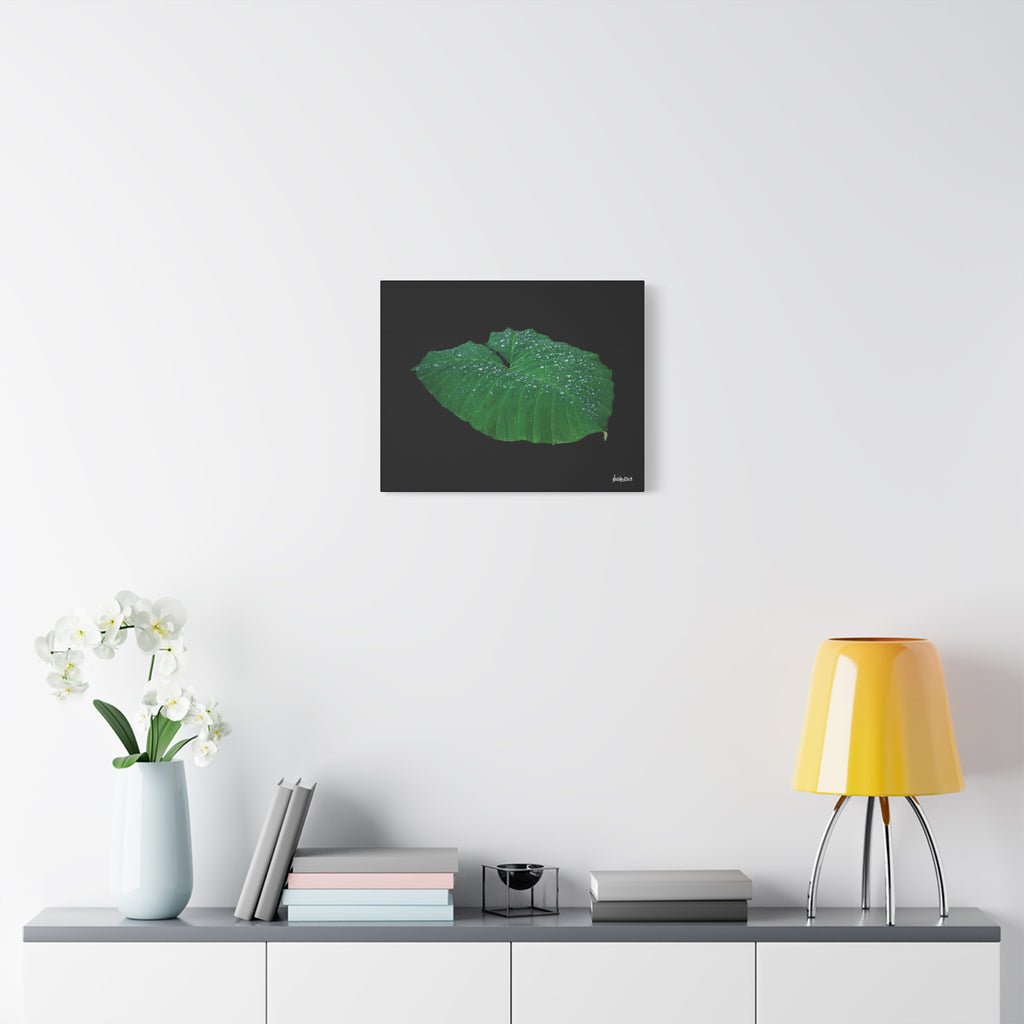 Blessing of the Rain - 20X16