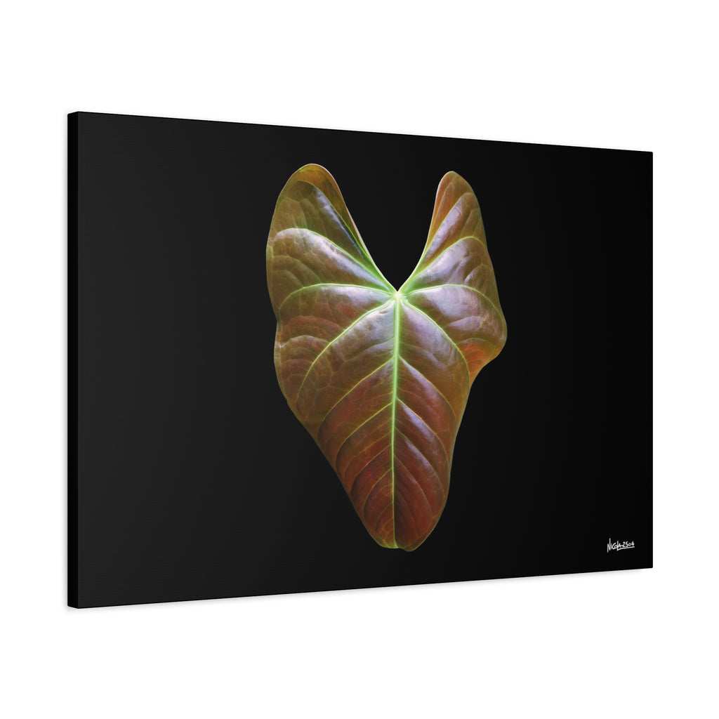 Heart of Earthlight - 36X24