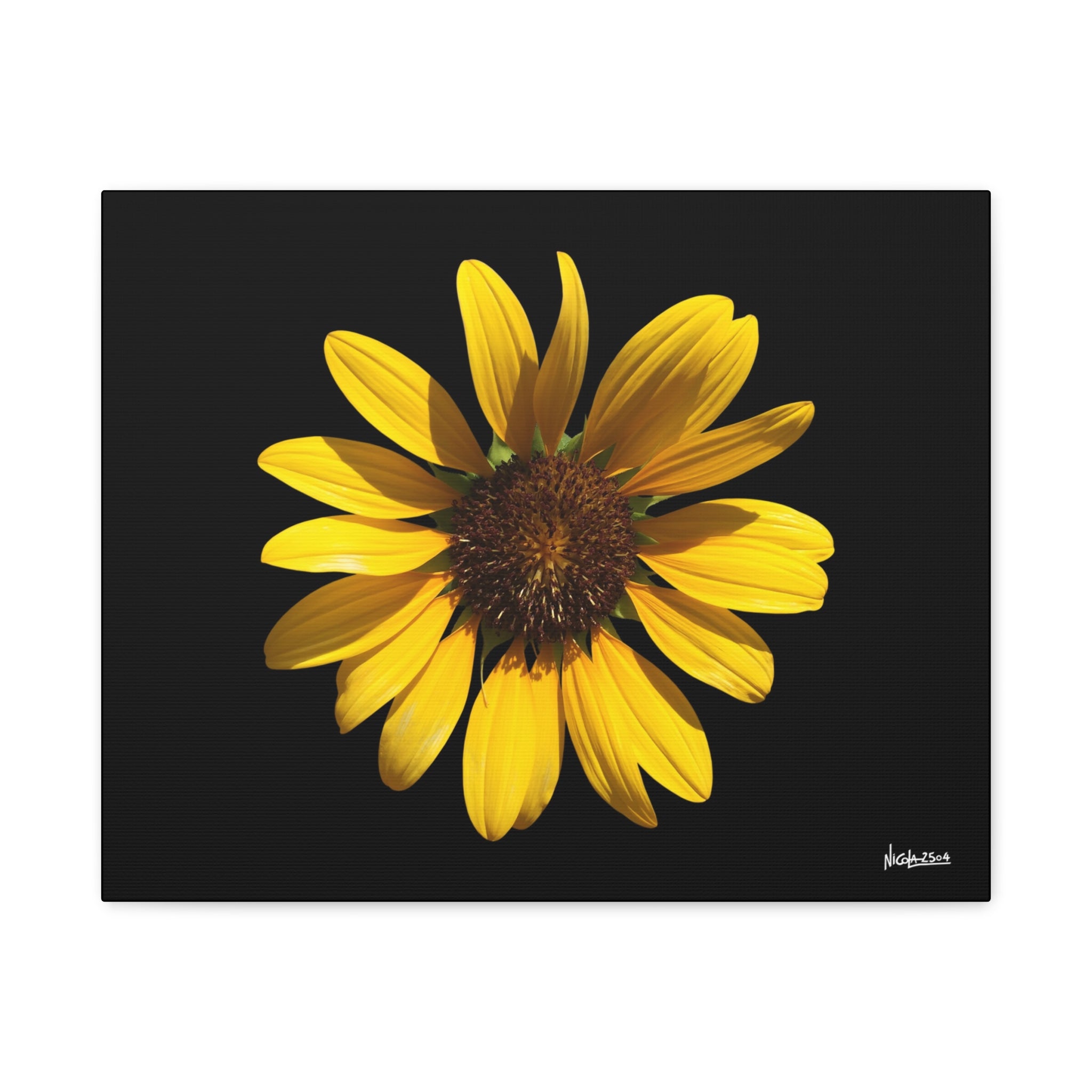Radiant Inner Sun - 20X16