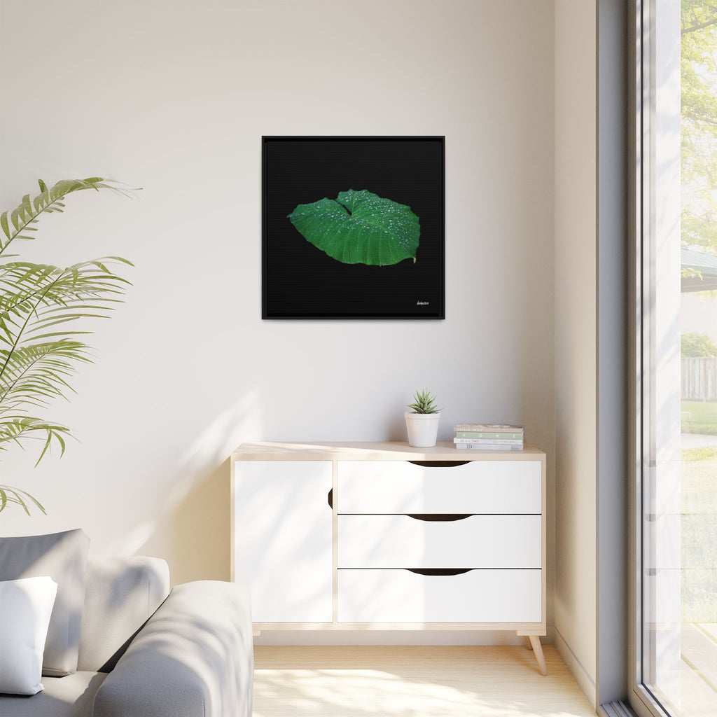 Blessing of the Rain Framed - 30X30
