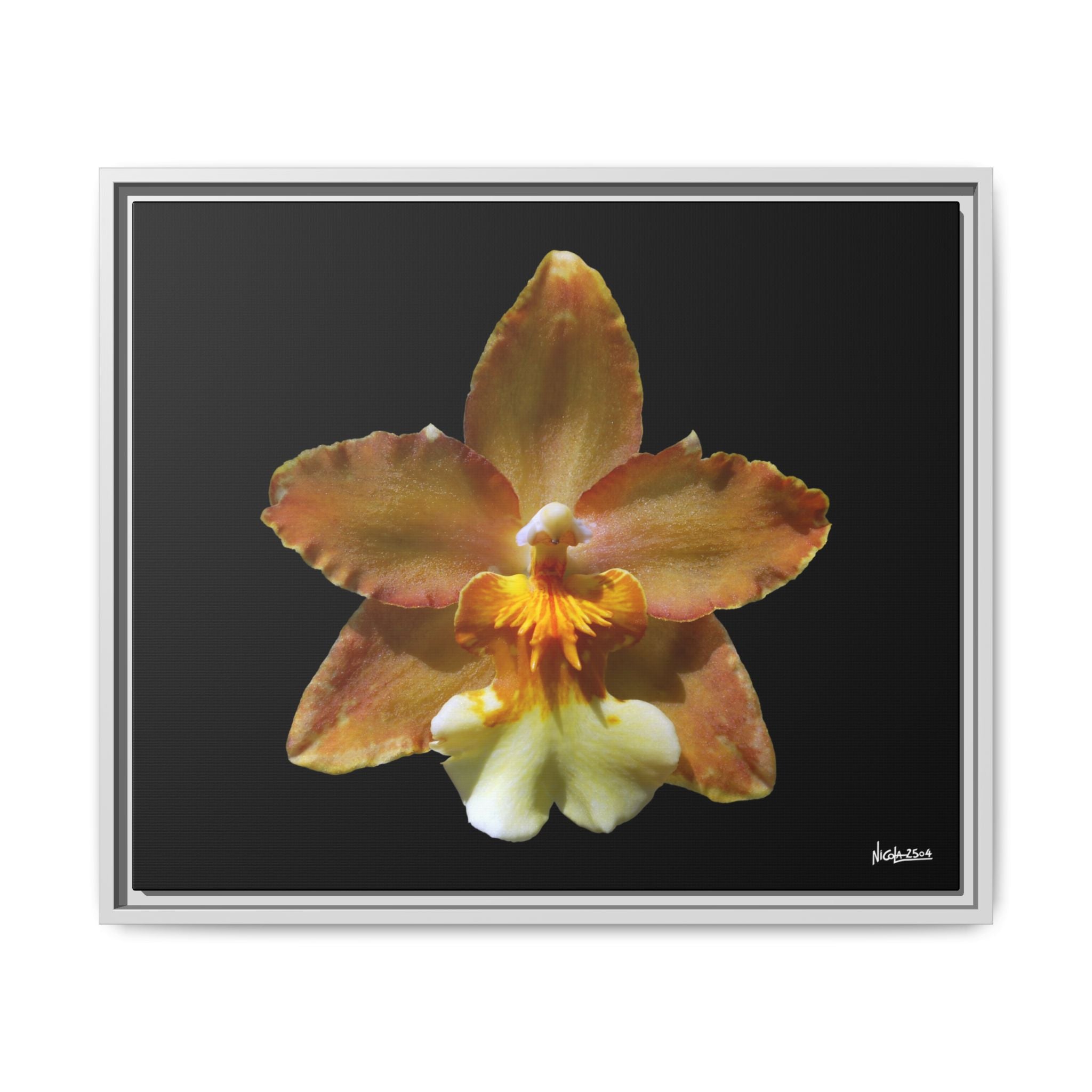 Golden Harmony Framed - 24X20