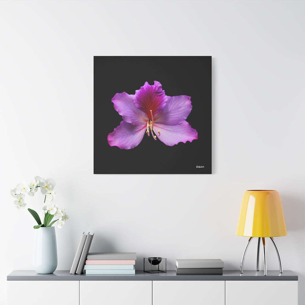 Listening Petals - 30X30