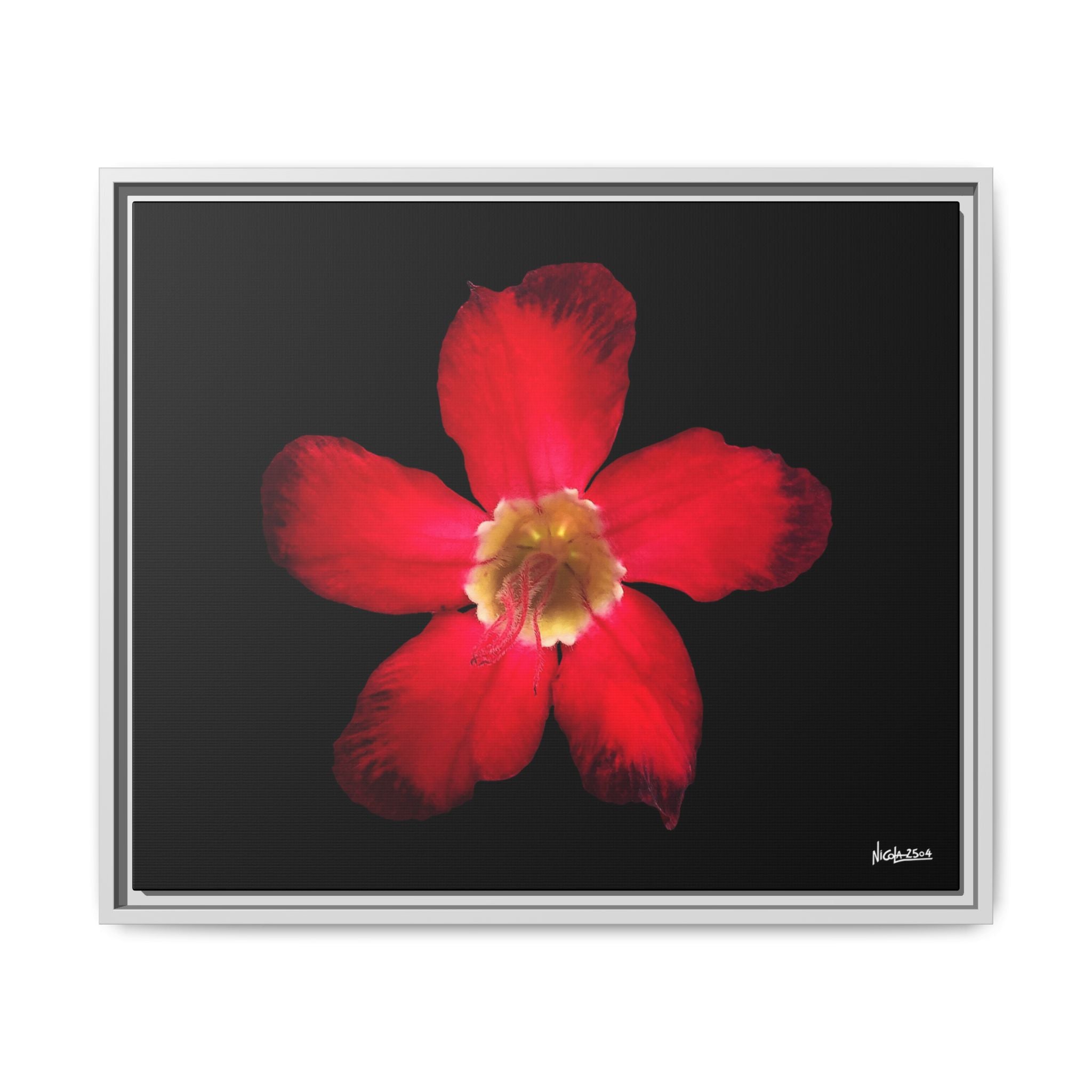 Passion in Bloom Framed - 24X20