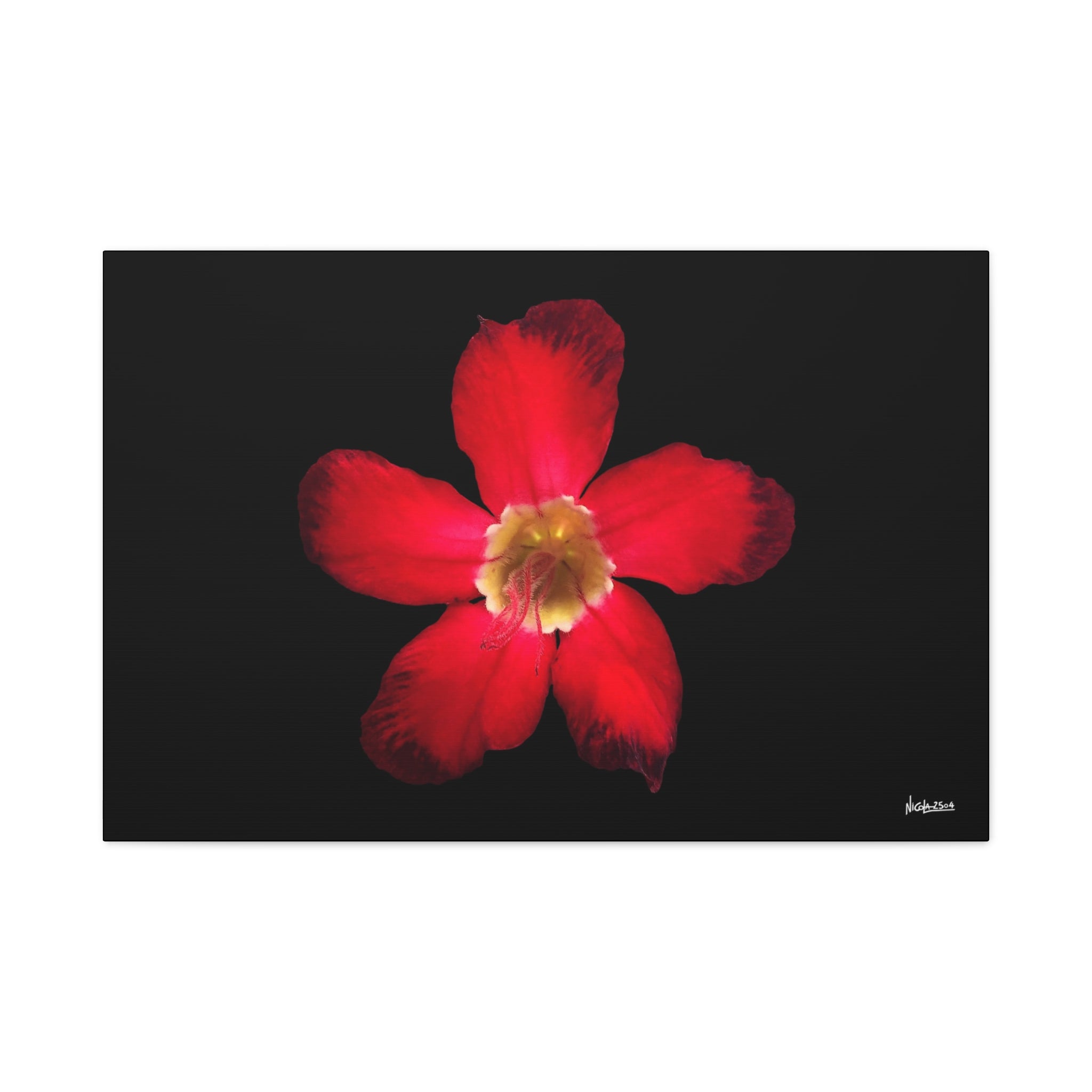 Passion in Bloom - 36X24
