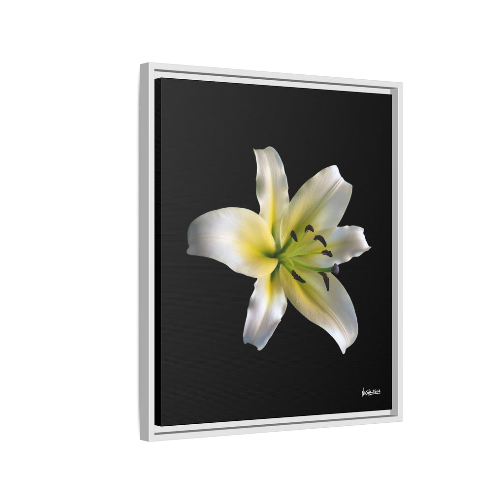Nature's Paradise Framed - 20X24