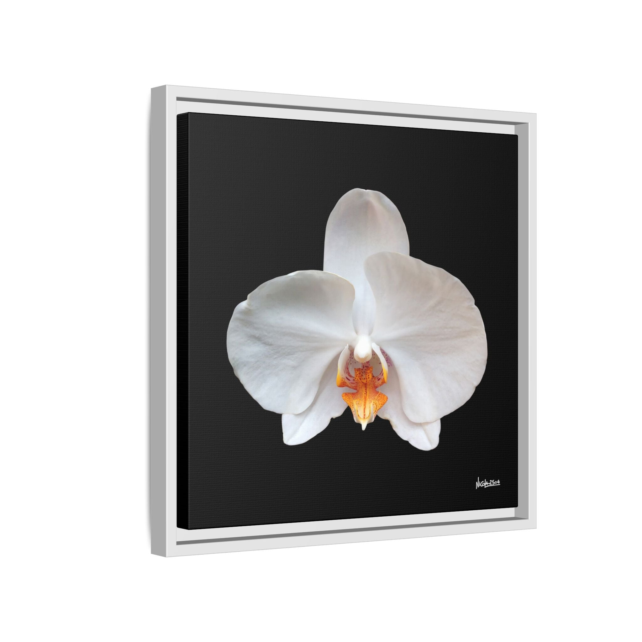 Whispers of the Unseen Framed - 16X16