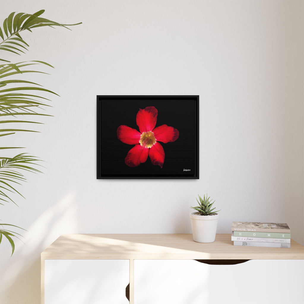 Passion in Bloom Framed - 20X16