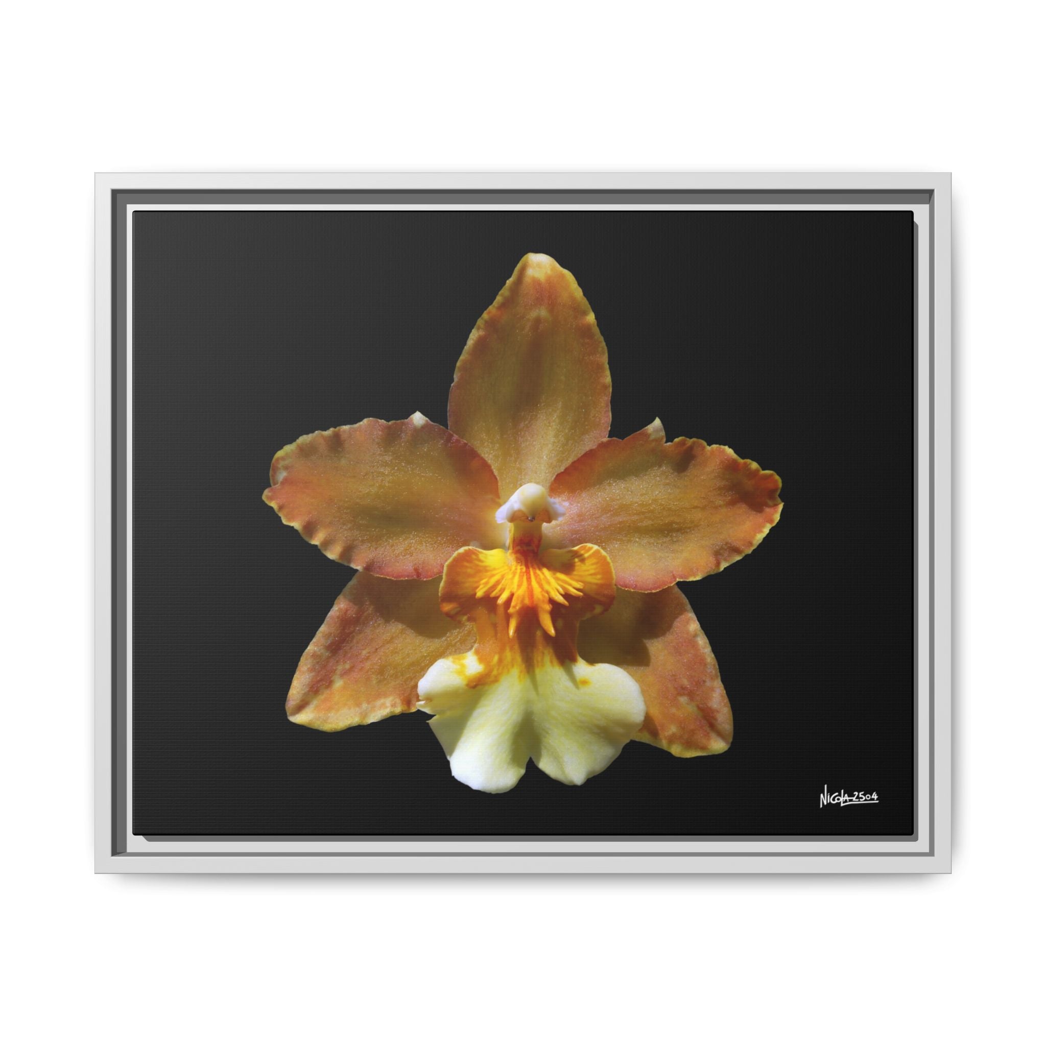 Golden Harmony Framed - 20X16