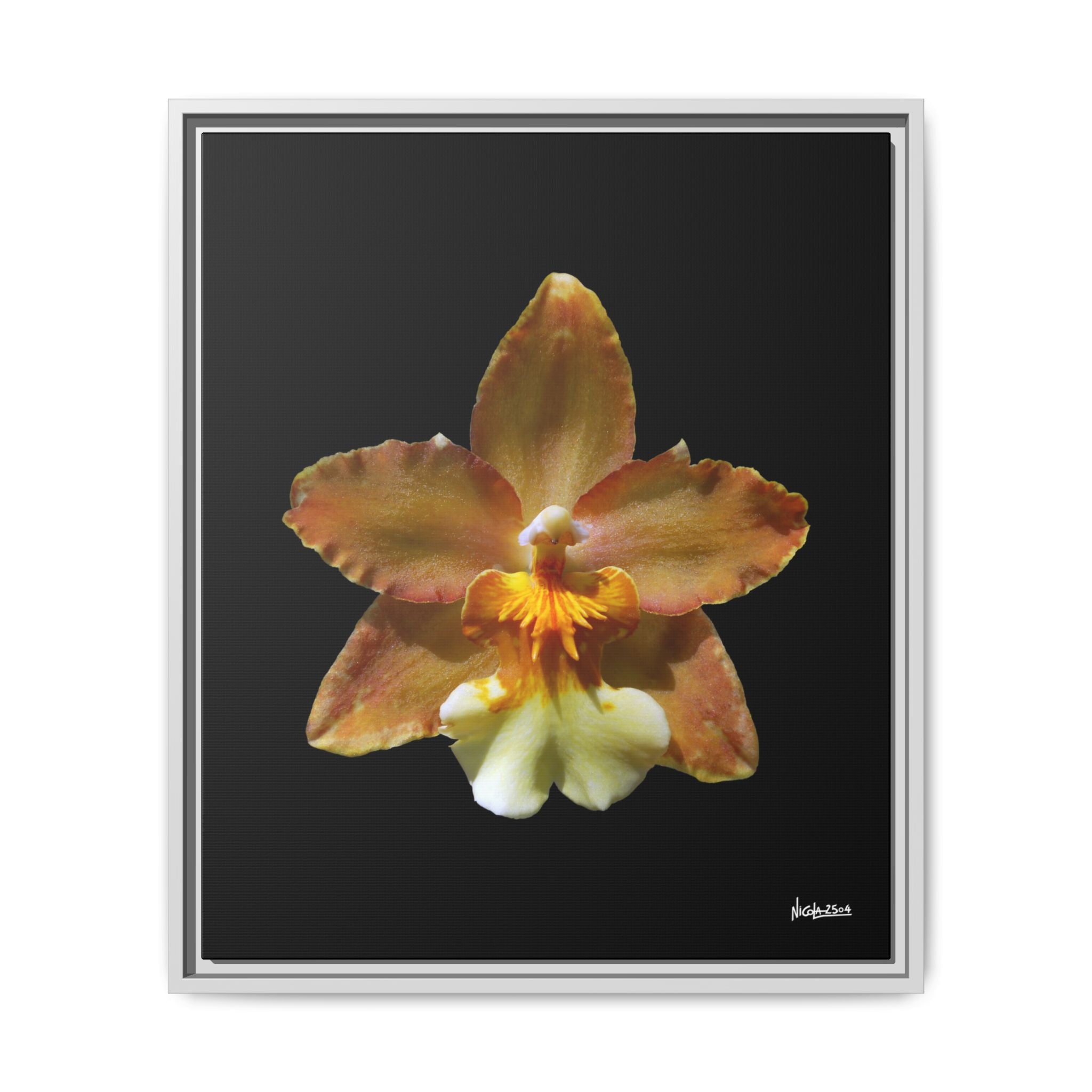 Golden Harmony Framed - 20X24