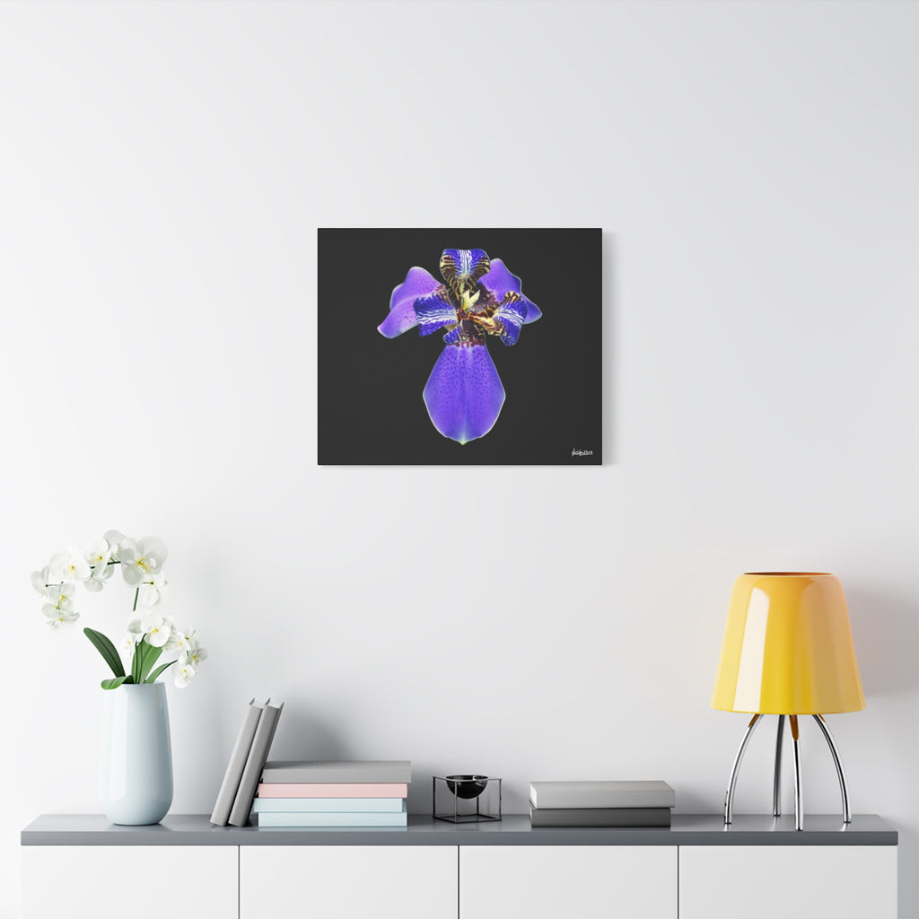 Gift of the Wait - 24X20