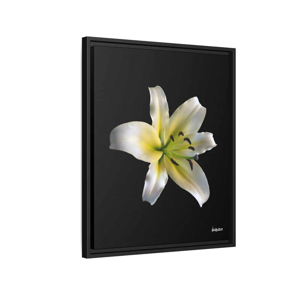 Nature's Paradise Framed - 20X24