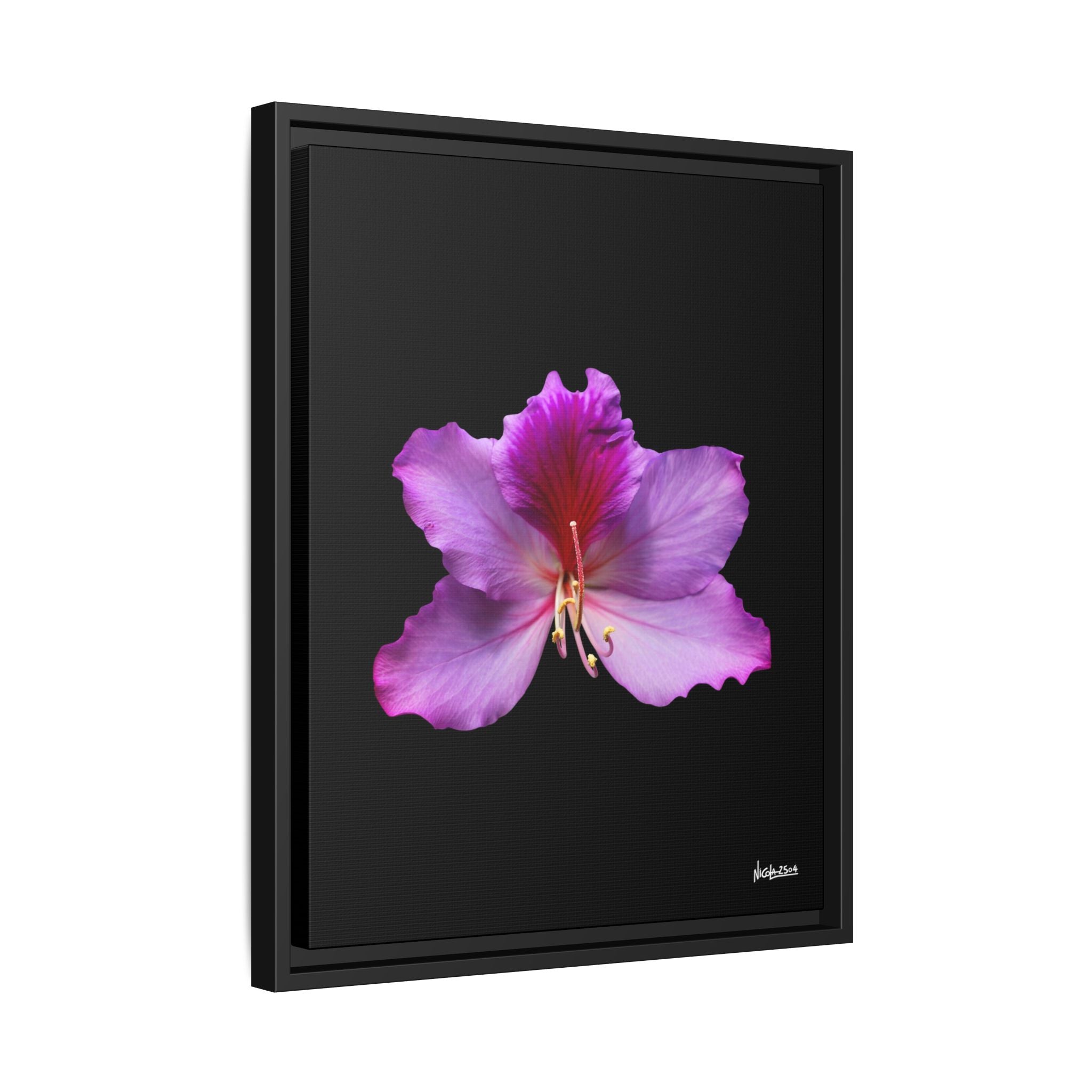 Listening Petals Framed - 16X20