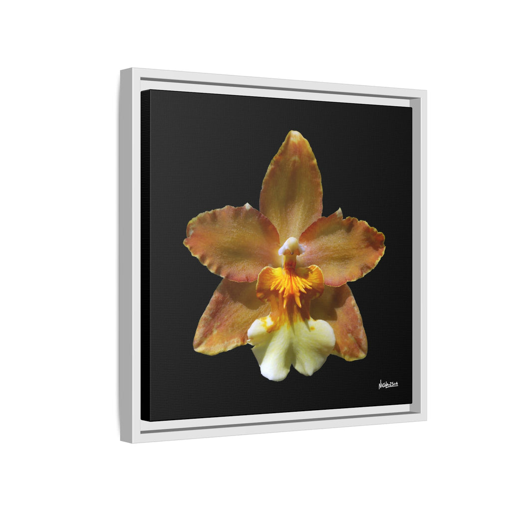 Golden Harmony Framed - 16X16