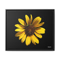 Radiant Inner Sun Framed - 24X20