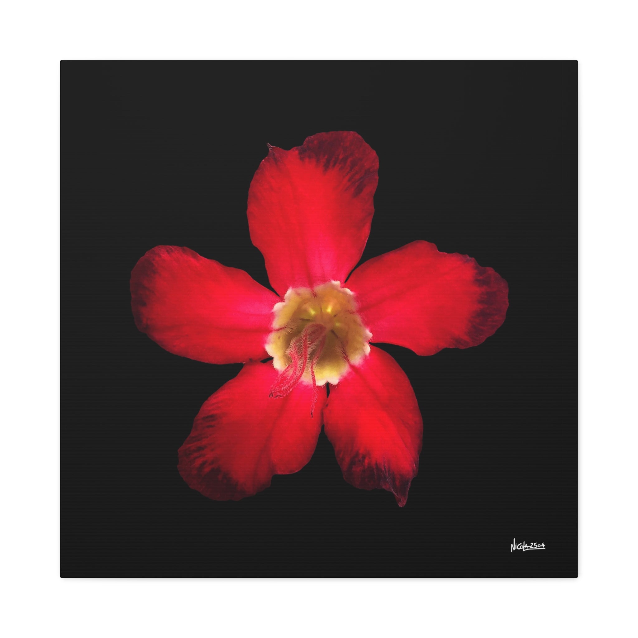 Passion in Bloom - 30X30