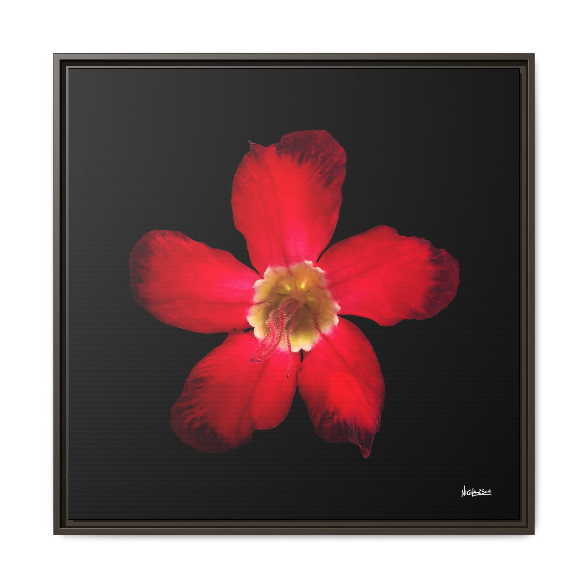 Passion in Bloom Framed - 30X30