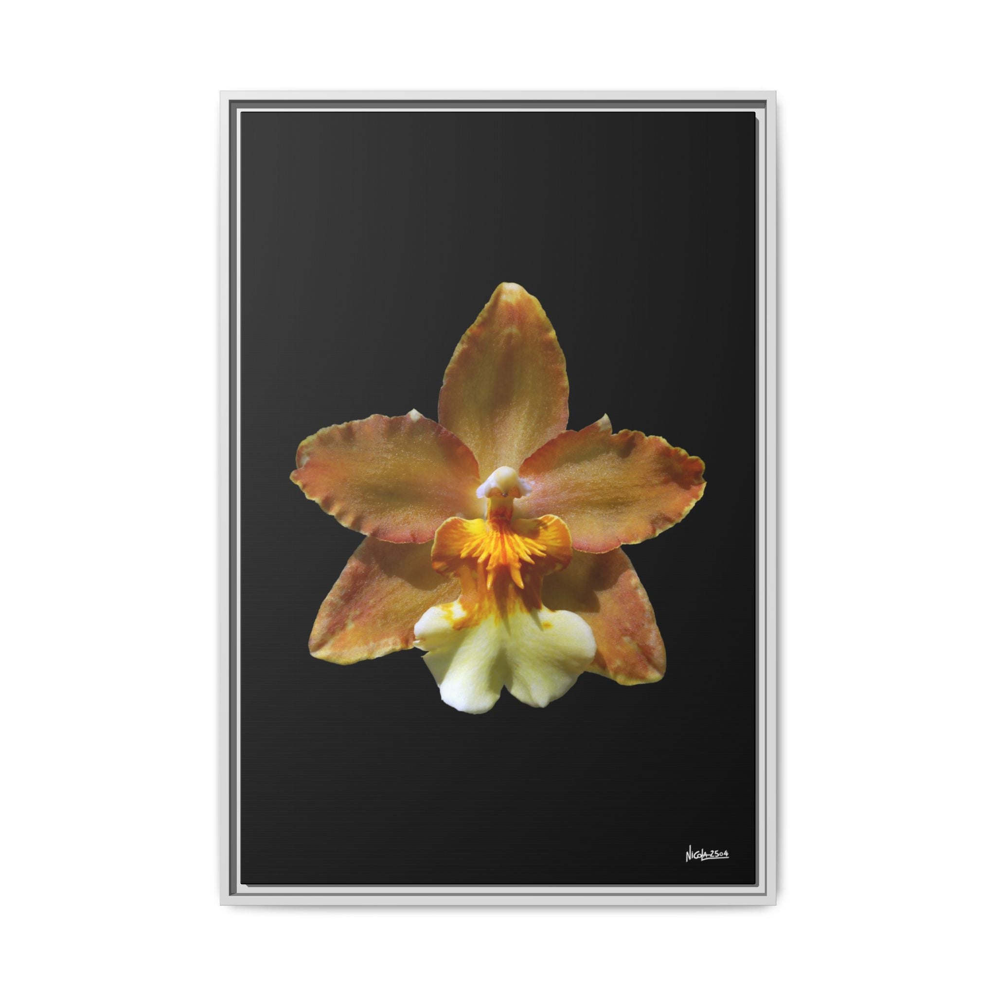 Golden Harmony Framed - 24X36