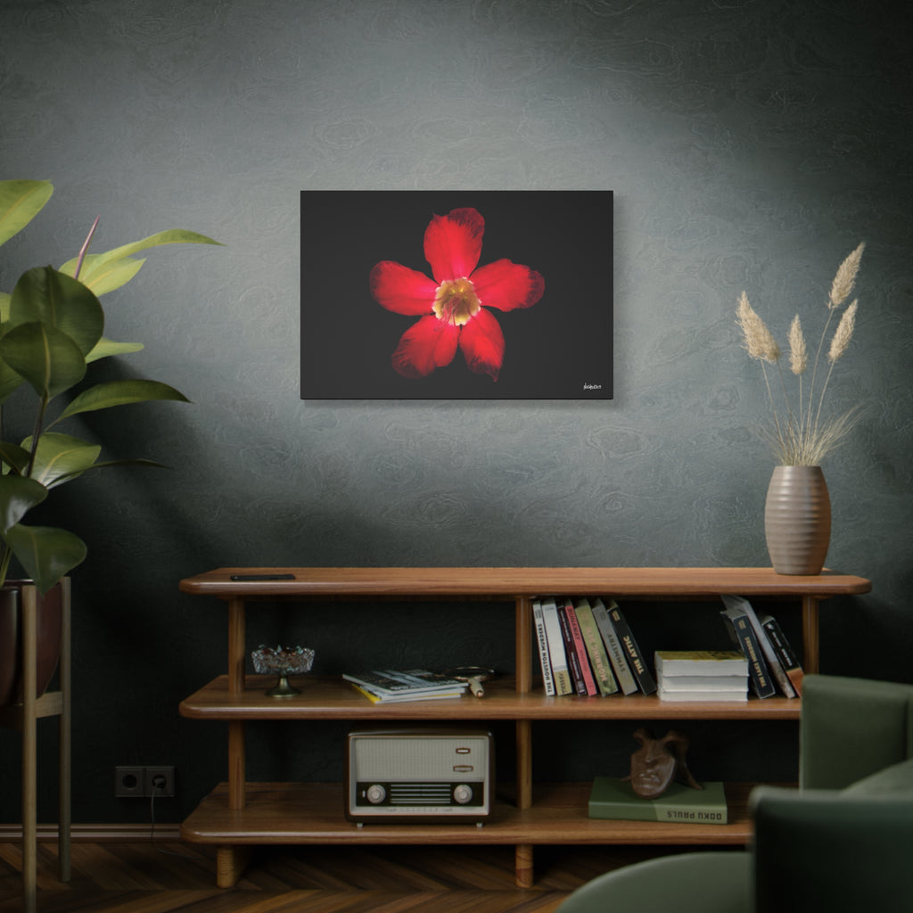 Passion in Bloom - 36X24