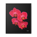 Legacy in Bloom Framed - 20X24