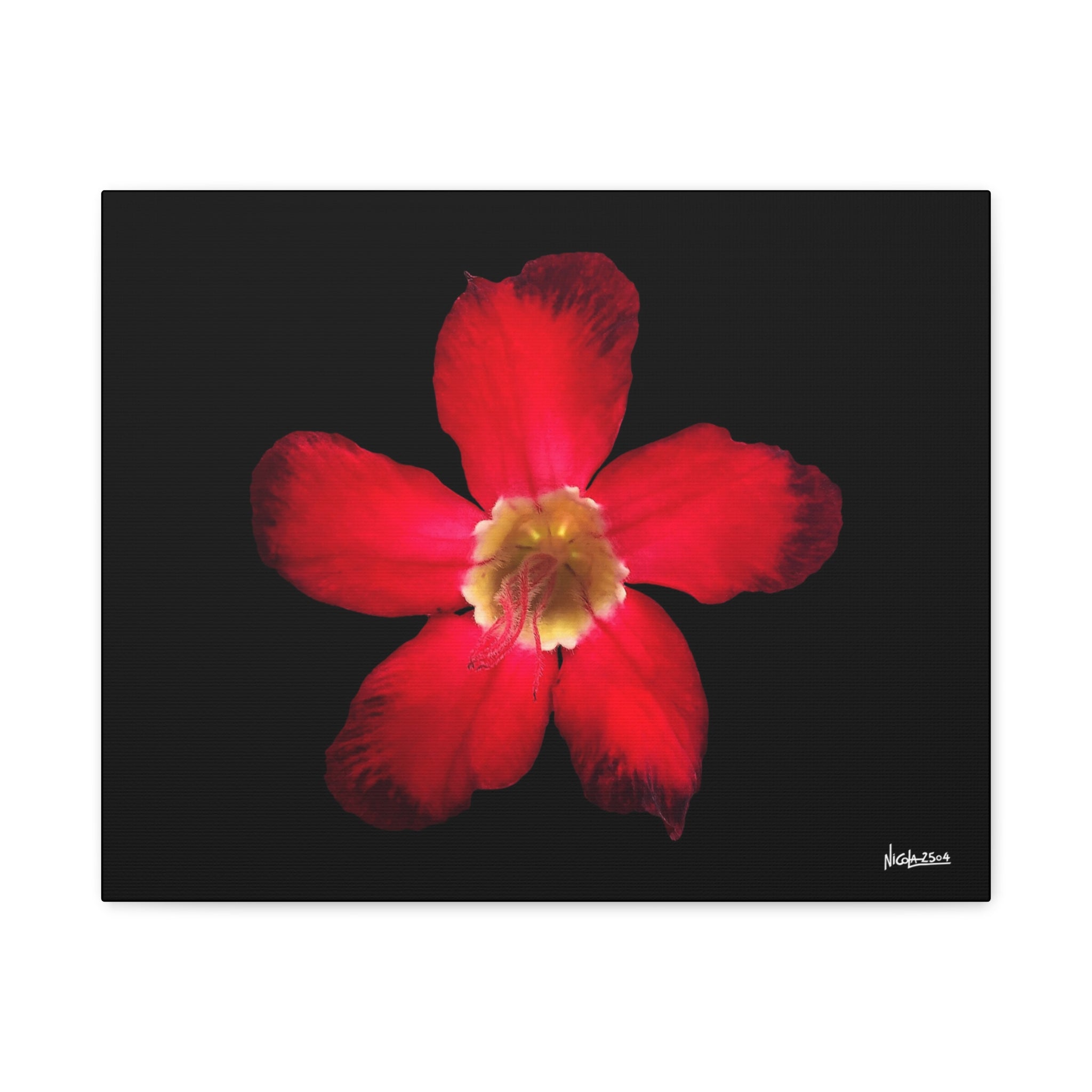 Passion in Bloom - 20X16