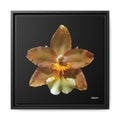 Golden Harmony Framed - 16X16