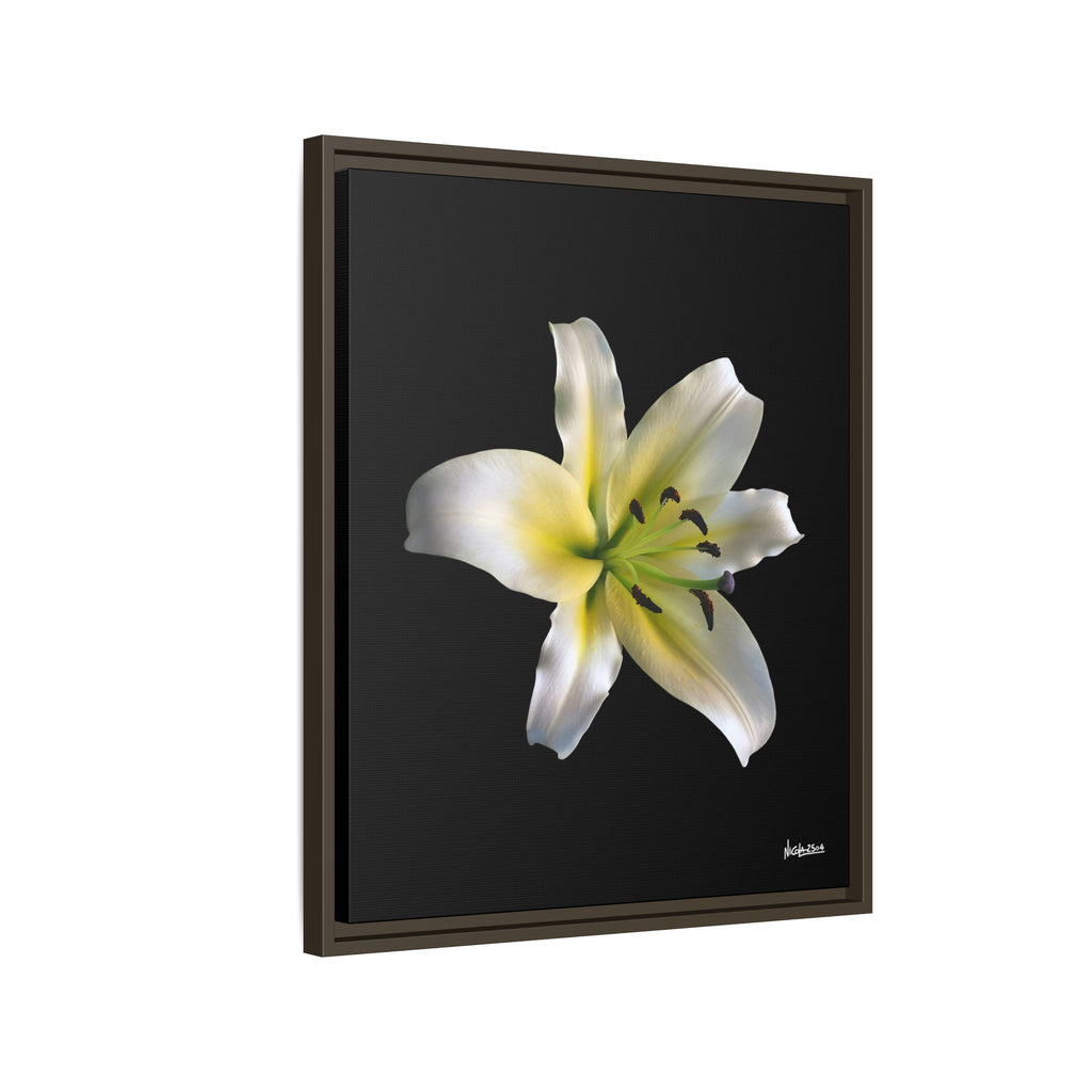 Nature's Paradise Framed - 20X24