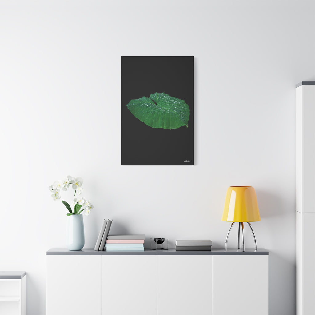 Blessing of the Rain - 24X36