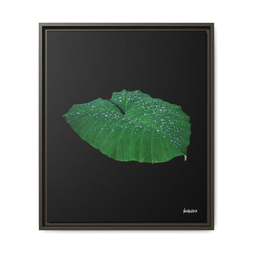 Blessing of the Rain Framed - 20X24