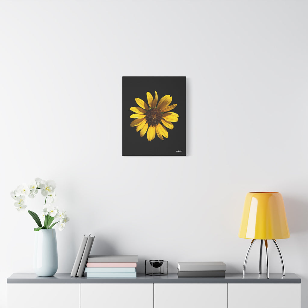 Radiant Inner Sun - 16X20