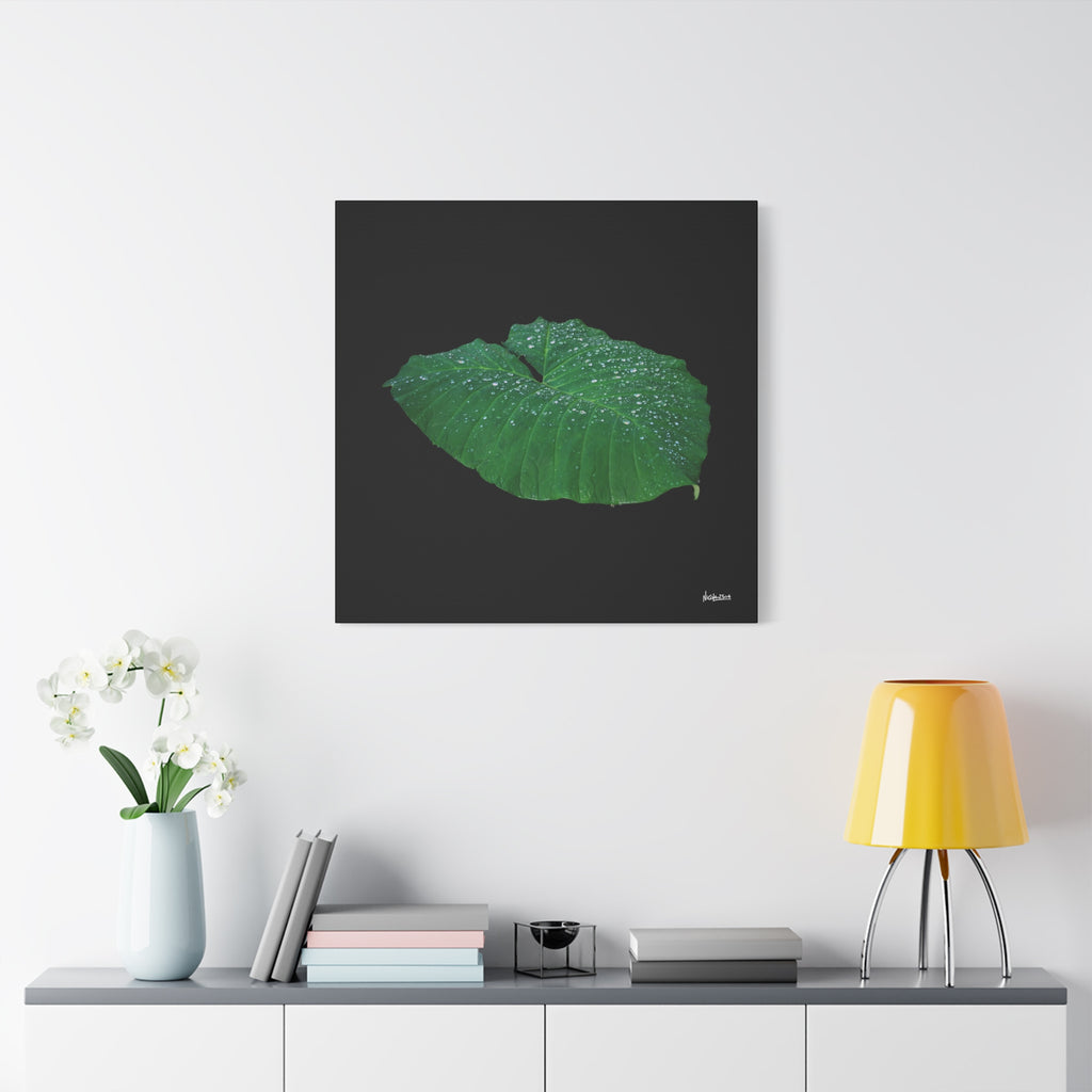 Blessing of the Rain - 30X30