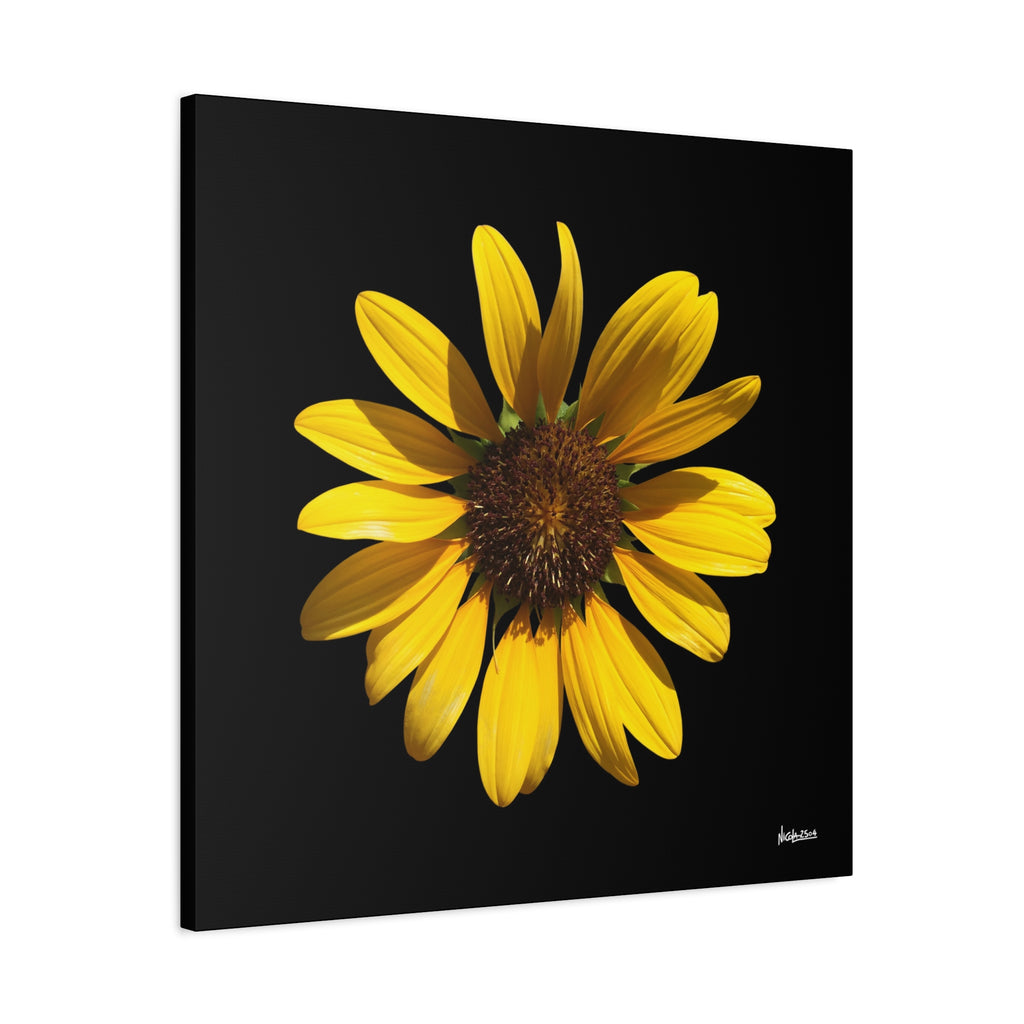Radiant Inner Sun - 30X30